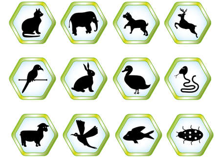 Set animals, vectorのイラスト素材