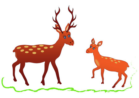 Illustration of deer with antlers and chick fawn. Vector.のイラスト素材