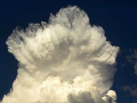 Summer early evening blue sky with cumulus cloud.