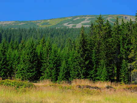 Czech mountains Krkonose. Nature protected areas for hiking, grassy valleys, forests and mountains...