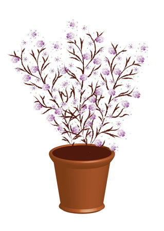 Spring lavender sakura bush in a brown flower pot. Blooming garden park shrub plant with pink flowers in a container. Vector, jpg.のイラスト素材