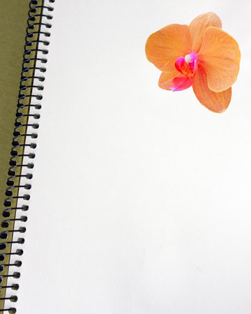 Blank notebook with fresh orange orchid. Sepia notepad with single flower orchid on light paper, background. Space pages for text, message, letter, cover.の写真素材
