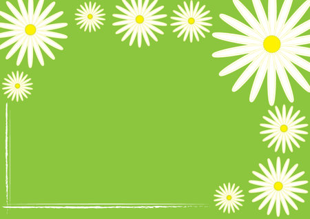 Natural floral green background. Frame with white chamomile or daisies flowers with space for your text.のイラスト素材