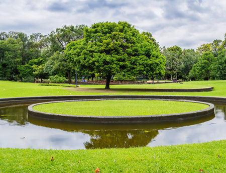 Park in summer with a circular lake. Flat park with a dominant leafy tree, greenery, space for relaxation. Background.の写真素材