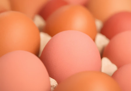 Fresh eggs. Closeup of a group of eggs in a cardboard box, close-up, macro.の写真素材