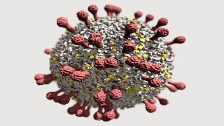 3D rendering of speculative Coronavirus form on lightの写真素材