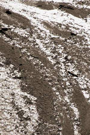 Snow on the ground as an abstract background. Texture, pattern.