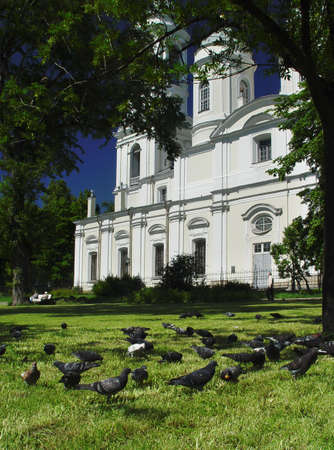 Flock of pigeons at the Orthodox Cathedralの写真素材