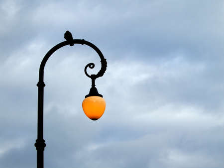Pigeon sitting on the street lamp in the eveningの写真素材