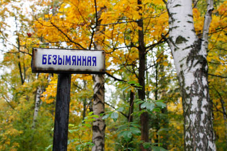 Nameless foot-path of the Theological cemetery in St.Petersburgの写真素材