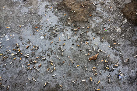 Earth underfootの写真素材