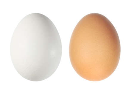 White and brown eggs over whiteの写真素材