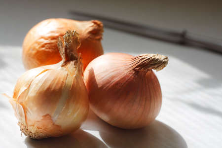 Three onions on the cook tableの写真素材