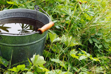 Bucket with rainwater in grassの写真素材