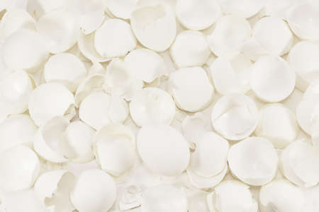 One egg among piles of the chicken shell as background