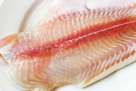 Raw fish fillet on porcelainの写真素材