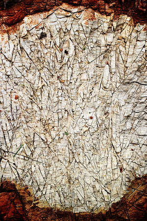 Wooden background