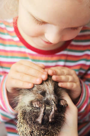 Little girl and small hedgehogの写真素材