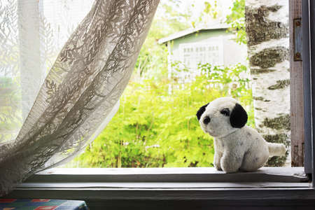 Little stuffed dog on the window sill