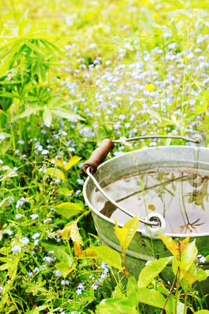 Bucket with rainwater in the grassの写真素材