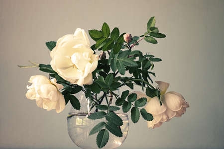 White roses in the glassの写真素材