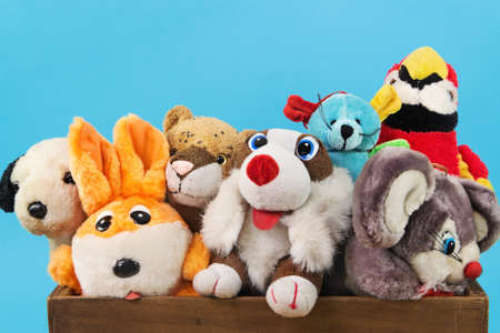 Various soft toy animals in wooden box on blue backgroundの写真素材