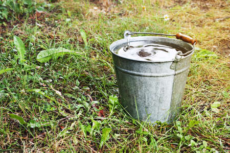 Old metallic bucket with rain water in the summerの写真素材