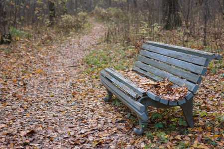 Blue bench in the autumn parkの写真素材
