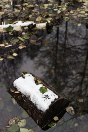 Small lake in the park in the late autumnの写真素材
