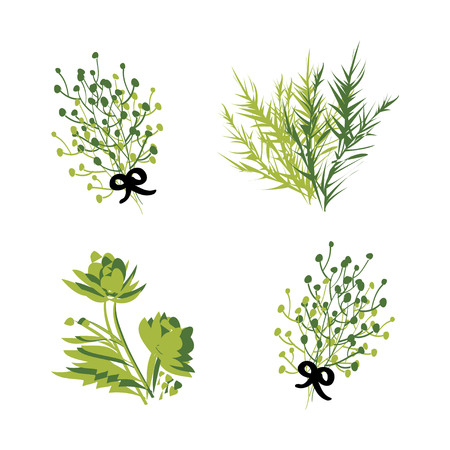 Set of herbs and branches for your designのイラスト素材