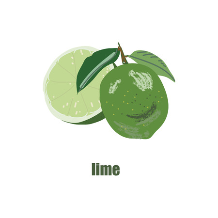 Illustration of the image of a cut. Bright fruit logo or icon for your design. Doodle styleのイラスト素材