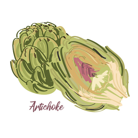 Artichoke vector bright icon isolated on background with text. Hand drawn artichokes. For infographic, website or appのイラスト素材
