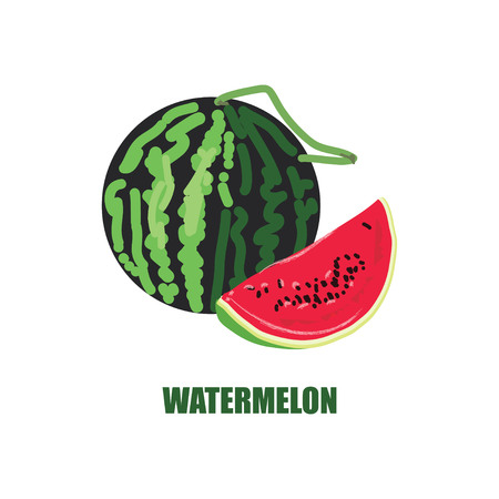 Illustration with watermelon and watermelon in a cut.のイラスト素材