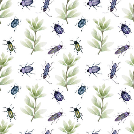 Watercolor background drawing collection of beetlesの写真素材