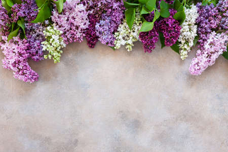 Close up of fresh fragrant pink and violet lilac flowers on background.の写真素材