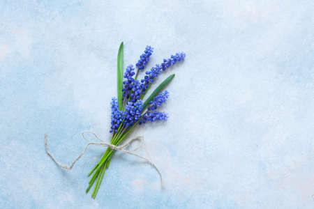 Bouquet of Muskari flowers on the sky blue backgroundの写真素材