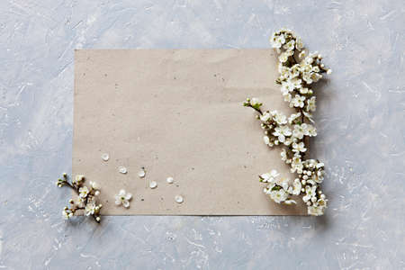 Close-up photo of beautiful white blooming flowers of cherry tree branches on piece of paper on gray background. Top view, concept for Mother's Day, wedding, engagement and other holidays and events.の写真素材