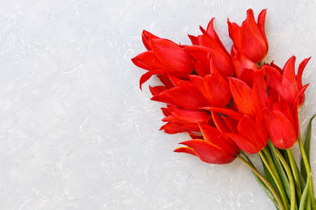 Close-up of beautiful red tulip flowers on gray background. Top view, selective focusConcept for...