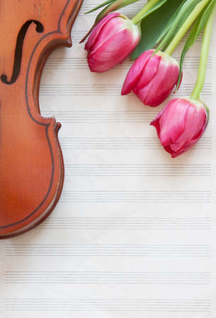 Old violin and pink tulips flowers. Top view, close-upの写真素材