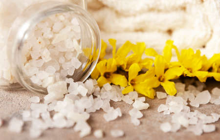 Blossoming yellow Forsythia flowers, aromatic sea salt and towels. Concept for spa, beauty and health salon, cosmetics store.の写真素材