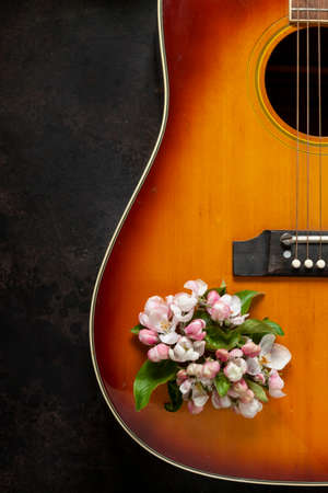 Acoustic guitar and apple tree flowers on dark brown backgroundの写真素材