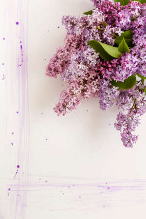 Close-up photo of Beautiful purple lilac branches. Wedding, engagement or betrothal concept on white paper background. Top view, greeting card.の写真素材