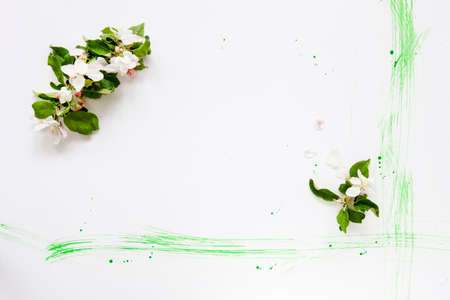 Close-up photo of Beautiful white Flowering Apple Tree branches. Wedding, engagement or betrothal concept on white paper background. Top view, greeting card.の写真素材