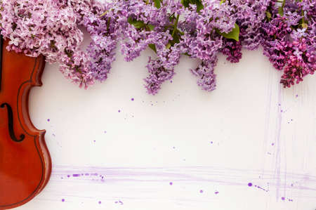 Violin and flowers of lilac on a white wooden background. Stringed musical instrument.	の写真素材