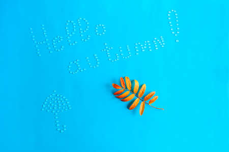 Autumn red rowan leaf and the lettering Hello Autumn made by water drops. Concept of Autumn beginningの写真素材