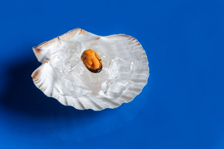 Close-up of frozen peeled mussel meat with crushed ice in shellfish shell on blue background