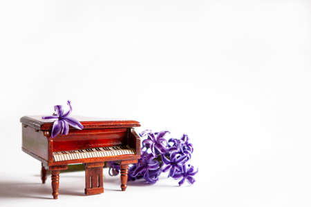 Miniature copies of the piano with hyacinth on the white backgroundの写真素材