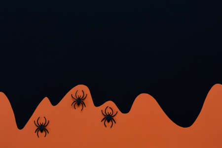 Black and orange Halloween background with spidersの写真素材