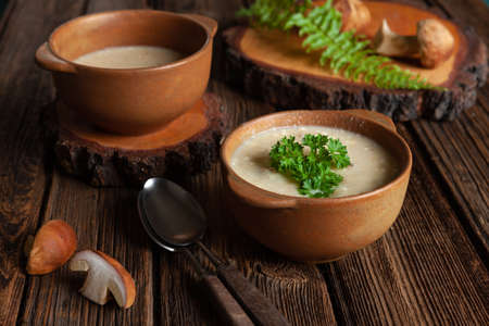 Cream soup from fresh forest mushrooms cep, boletus. Top view, close-upの写真素材