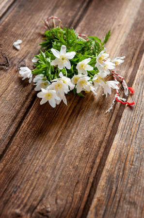 Fresh beautiful bouquet of the first spring forest anemone flowers with red and white cord martisor - traditional symbol of the first spring day on wooden backgroundの写真素材